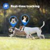 PetSafe Guardian GPS  Tracking Dog Fence Collar – Wireless Dog Fence with Real