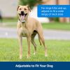 PetSafe Classic In Ground Fence Receiver Collar